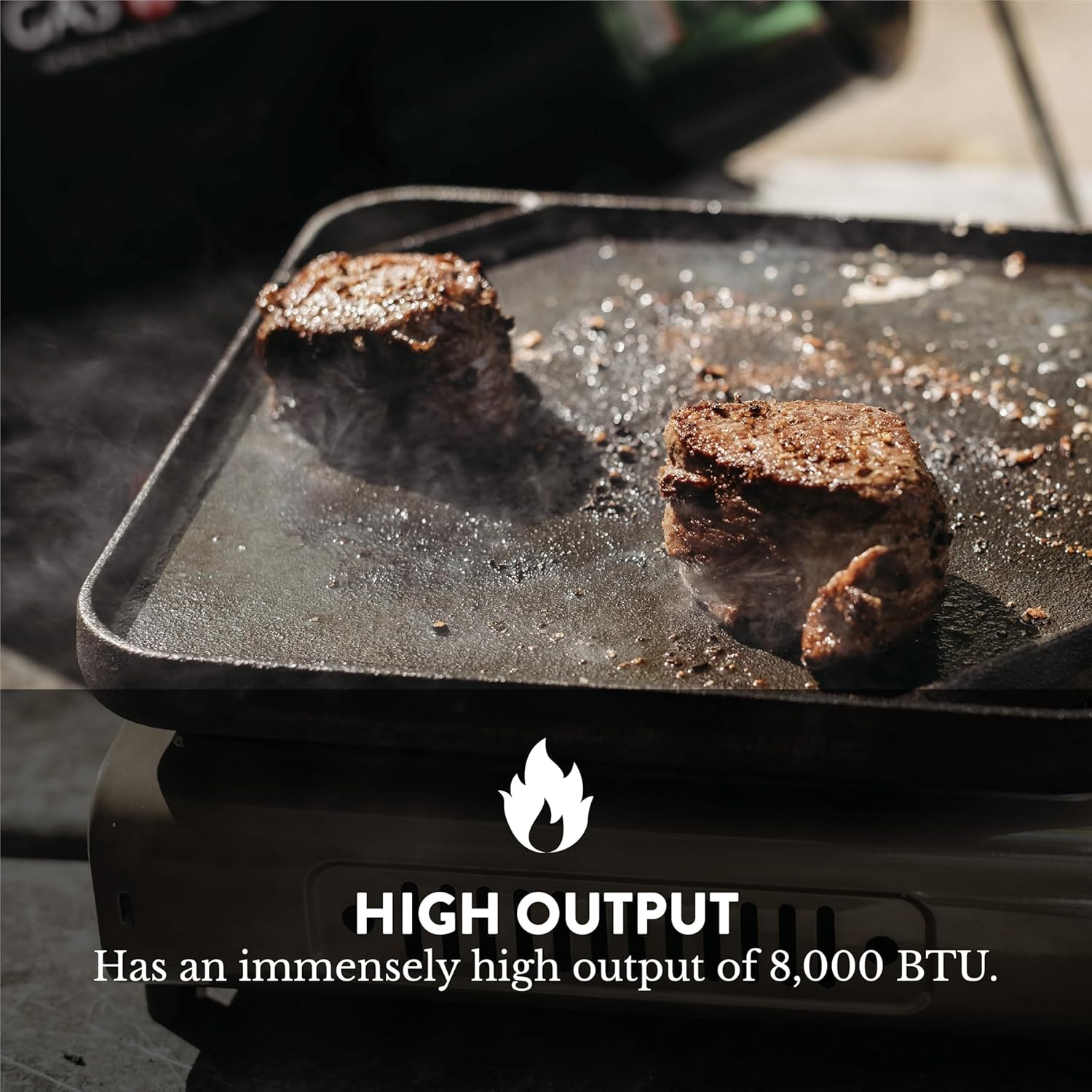 GS-3400P Propane or Butane Stove Dual Fuel Stove Portable Camping Stove - Patented - with Carrying Case Great for Emergency Preparedness Kit